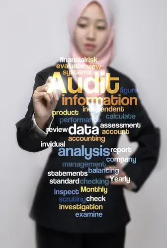 audit