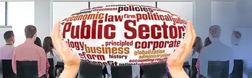 LMS for Public Sector